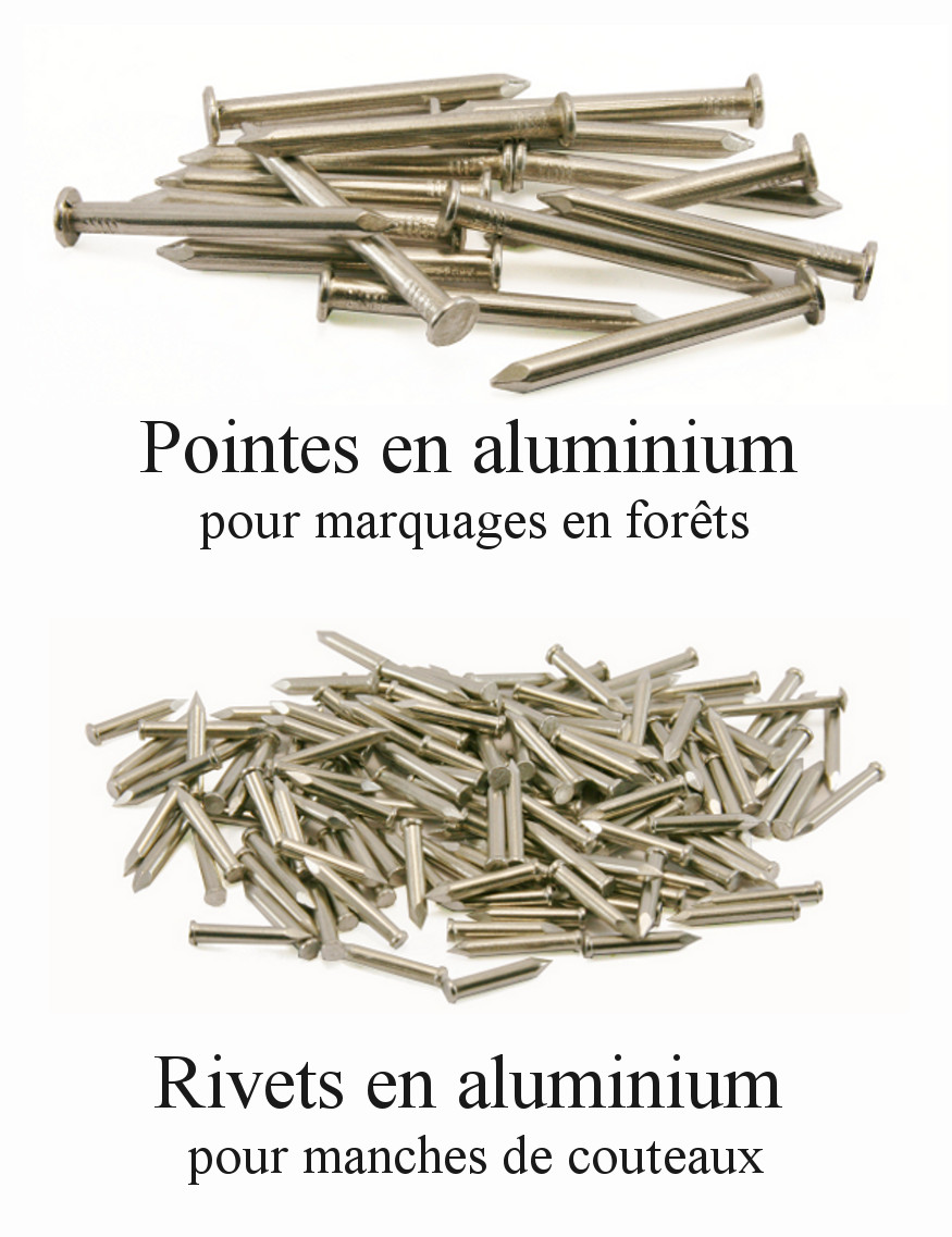 Clous en aluminium : pointes et rivets